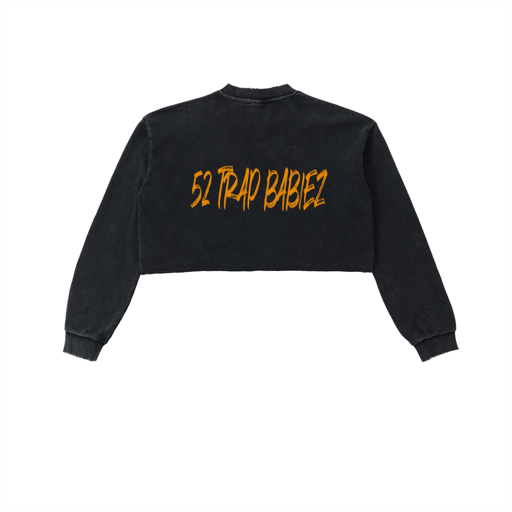 Snow Washed Raw Edge Cropped Sweatshirt